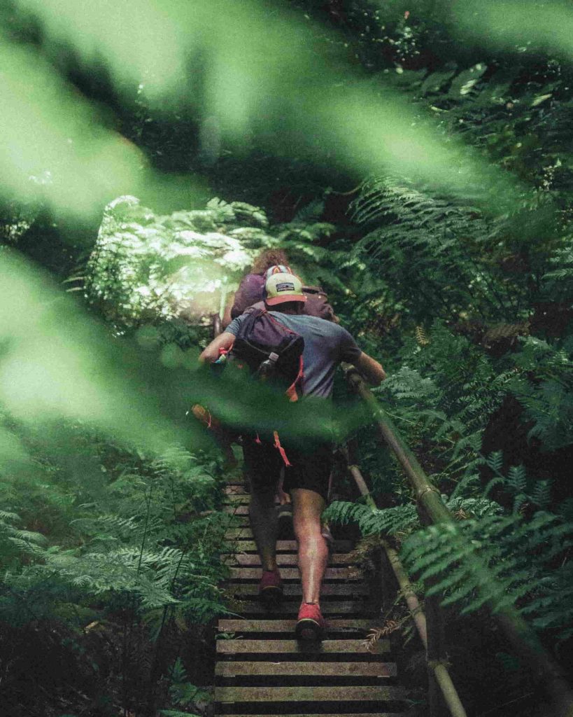 hombre haciendo trekking en bosque-min